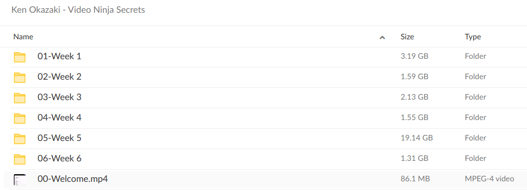 Ken Okazaki Video Ninja Secrets - download