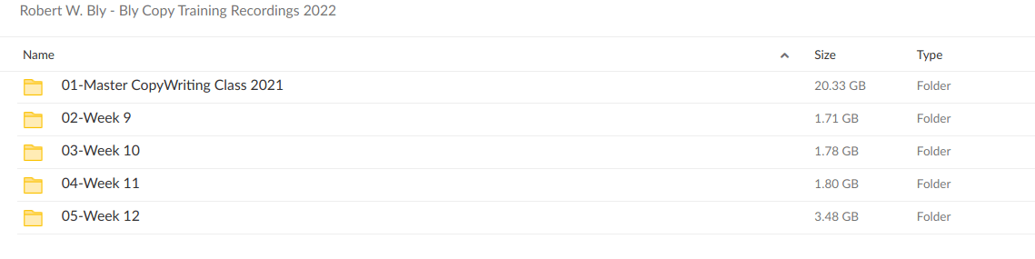 Robert W Bly Bly Copy Training Recordings 2022 - download