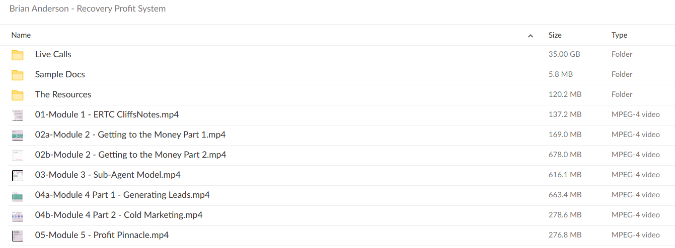 Brian Anderson Recovery Profit System