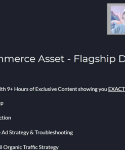 Build Assets Online Elite Fleet Plus - feature
