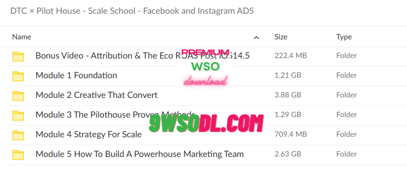 DTC × Pilot House – Scale School – Facebook and Instagram ADS Proof of Download
