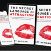 Matt Artisan The Secret Language of Attraction - feature