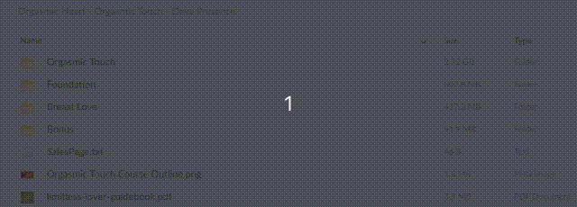 Orgasmic Heart – Orgasmic Touch – Deva Presence