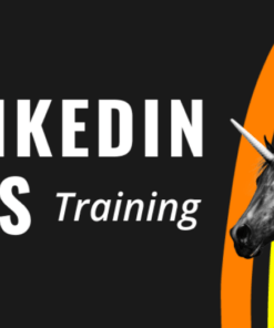 Super Lumen The LinkedIn Ads Course - feature