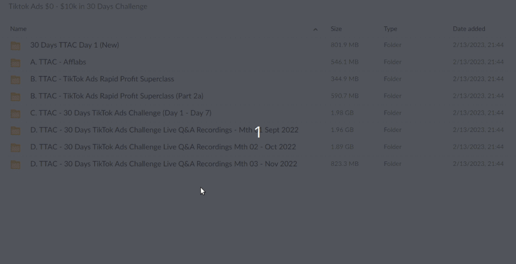Tiktok Ads $0 – $10k in 30 Days Challenge Download