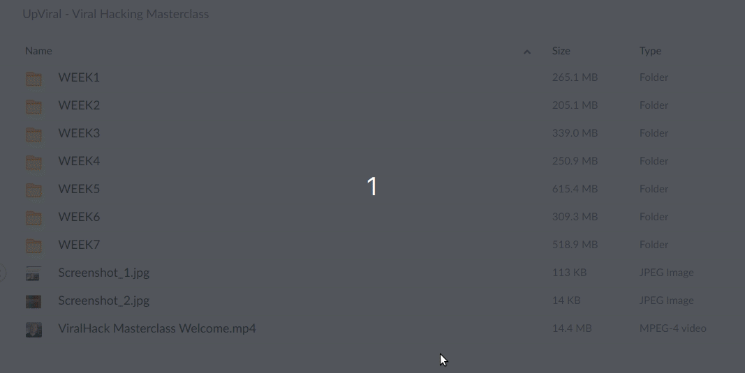 UpViral – Viral Hacking Masterclass Download