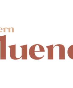 the_modern_influencer_1