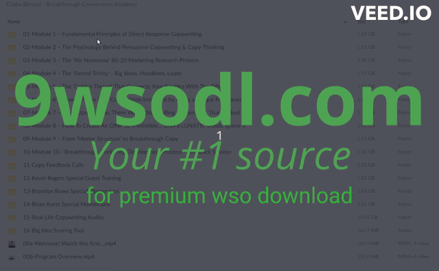 Csaba Borzasi – Breakthrough Conversions Academy - Files Proof