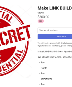 Holly Starks Make LINK BUILDING Great Again - feature img