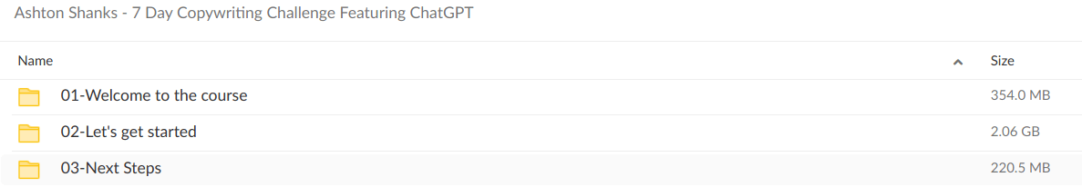 Ashton Shanks 7 Day Copywriting Challenge Featuring ChatGPT - download