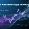 TikerMonkey Workshop - Earnings Reaction Gaps GB - feature