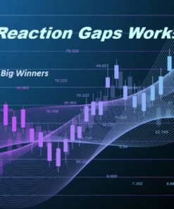 TikerMonkey Workshop - Earnings Reaction Gaps GB - feature