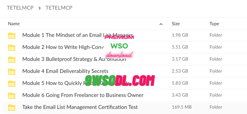 Troy Ericson – The Email List Management Certification Program Proof Of Files