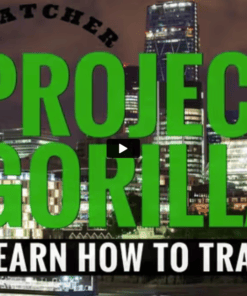 [VIP SHARE] Project Gorilla