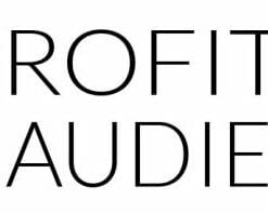 Steve Chou – Profitable Audience (GB)