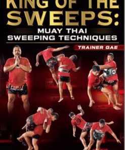 Trainer Gae - King of the Sweeps Muay Thai Sweeping Techniques