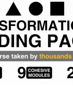 Eddie-Shleyner--Transformational-Landing-Pages-Download