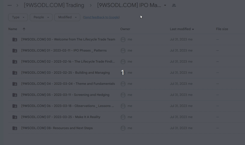 Traderlion IPO Course - Download Proof