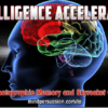 George Hutton – Intelligence Accelerator