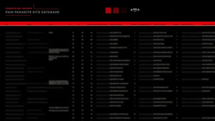 paid parasite seo blurred