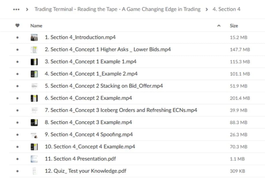 Example - Proof of Files - Trading Terminal – Reading the Tape – A Game Changing Edge in Trading