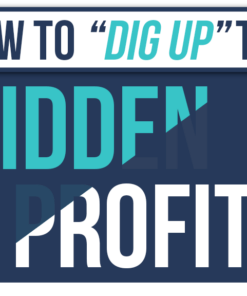 Justin Goff – How To “Dig Up” The Hidden Profits In Any Email List
