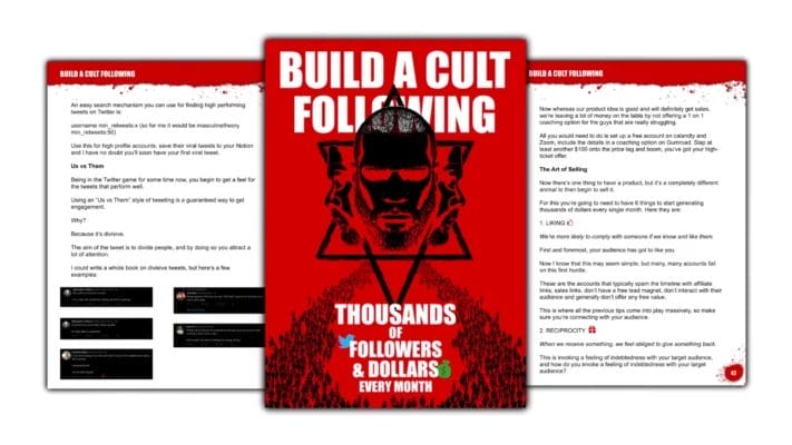 Build a CUlt Following Book Cover