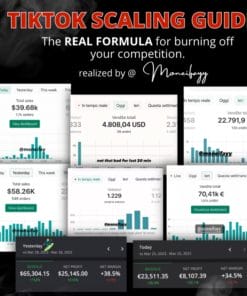 Moneifay - TikTok Scaling Secret for 6 FIGURE DAY