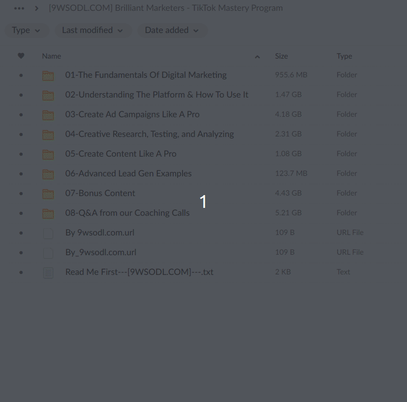 Brilliant Marketers - TikTok Mastery Program Download Files