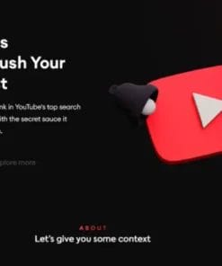 BHW MrStepan - YouTube Ranking Masterclass Download