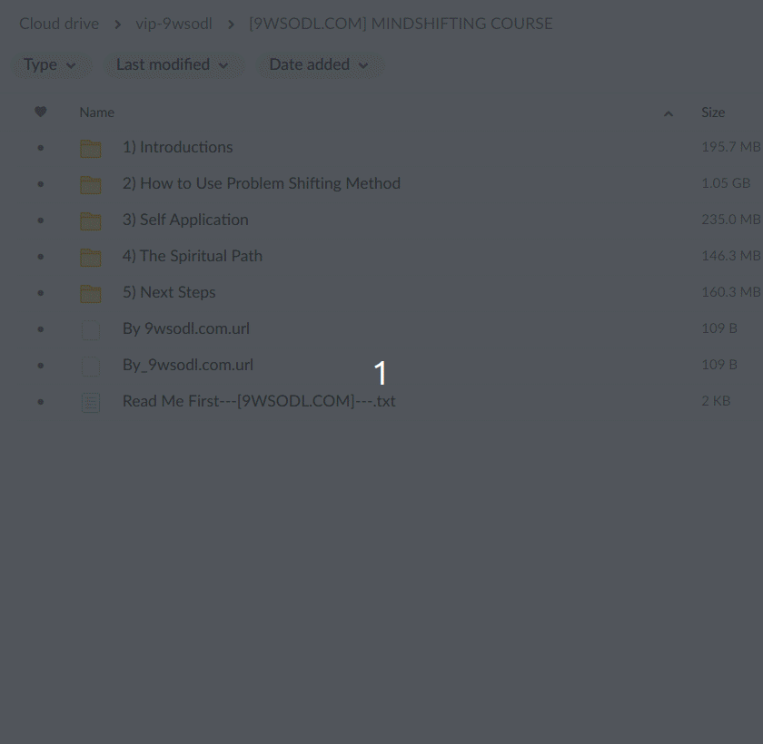 Naraya Nasarian - MIND SHIFTING FILES PROOF
