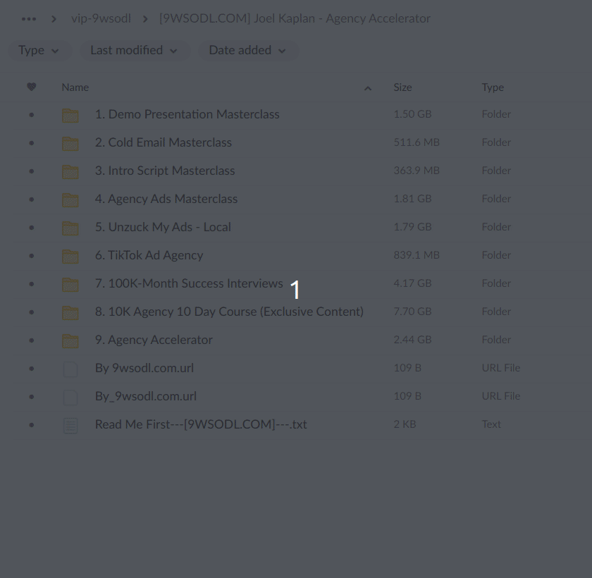 Joel Kaplan - Agency Accelerator & Tiktok Ads Download