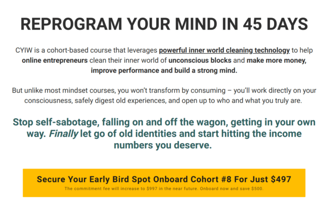 Tej Dosa – Clean Your Inner World- Reprogram Your Mind In 45 Days Download