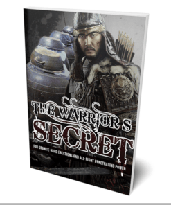 The Warrior’s Secret