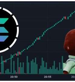 Advanced Guide to Meme Coin Analytics: Metrics & TX Tracking