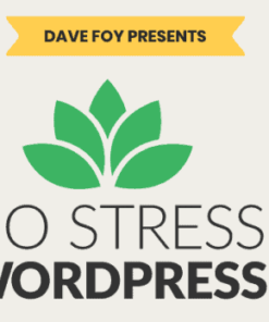 Dave Foy – No Stress WordPress 2.0