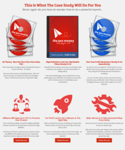 Mario Brown – The JVZoo Money Blueprint