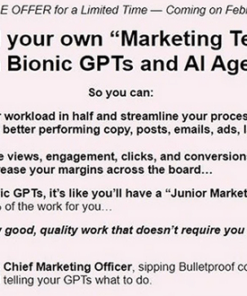 Sam Woods – Bionic GPTs, AI Agents Course Download