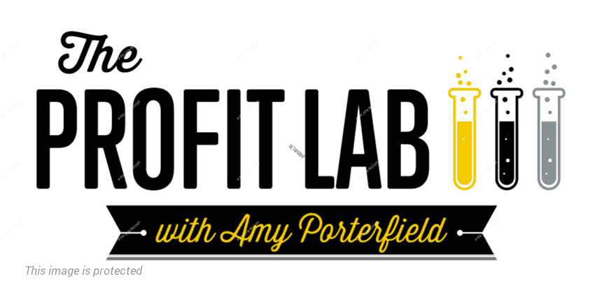 Amy Porterfield & Facebook Marketing Profit Lab DOWNLOAD