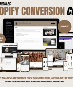 David Kollar – Max Conversion Shopify Course DOWNLOAD
