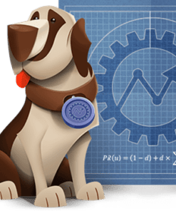 Dori Friend – Page One Engine