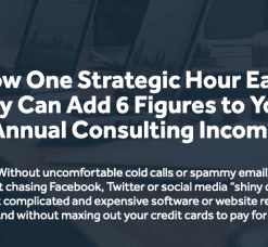 Michael Zipursky – Momentum (Consulting Success) DOWNLOAD