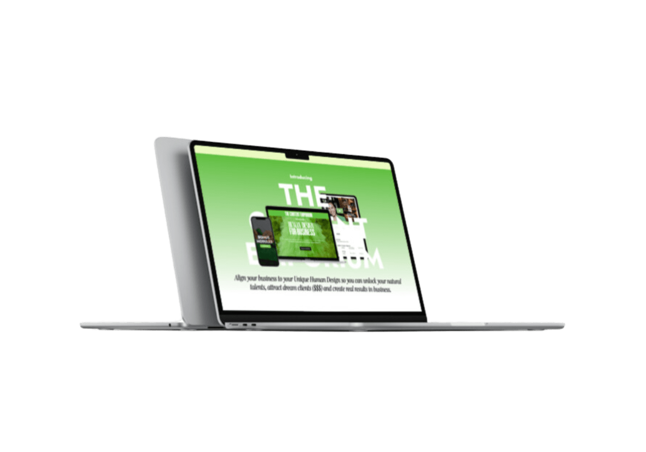 Download Phoebe Khun – Human Design For Business