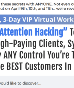 Stefan Georgi – The 3 Day “Attention Hacking” VIP Workshop