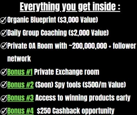 everything you get inside organic acceleration course