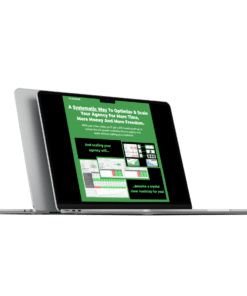 Download FlashHub - A Systematic Way To Optimize & Scale Your Agency