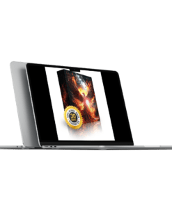 Download Subliminal Club – Phoenix – Dragon Reborn Experience