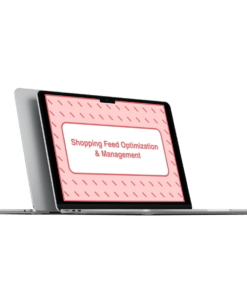 Download Take Some Risk – Shopping Feed Optimization and Management