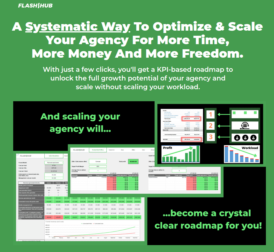Download FlashHub - A Systematic Way To Optimize & Scale Your Agency