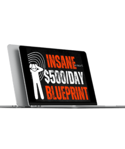 BuySellMethods - INSANE $500 per DAY BLUEPRINT Complete Premium PACK